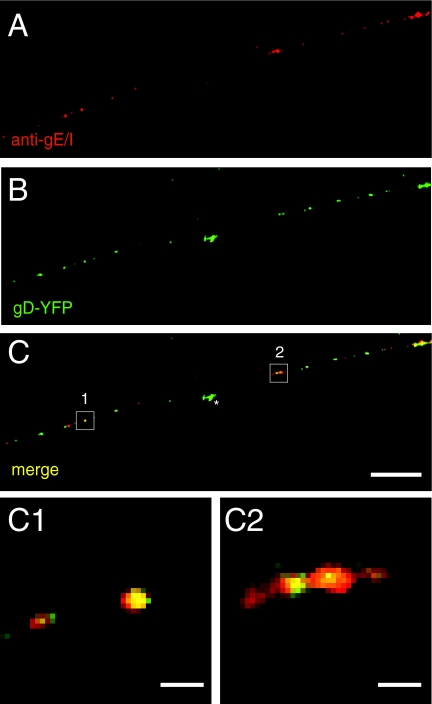 FIG. 7.