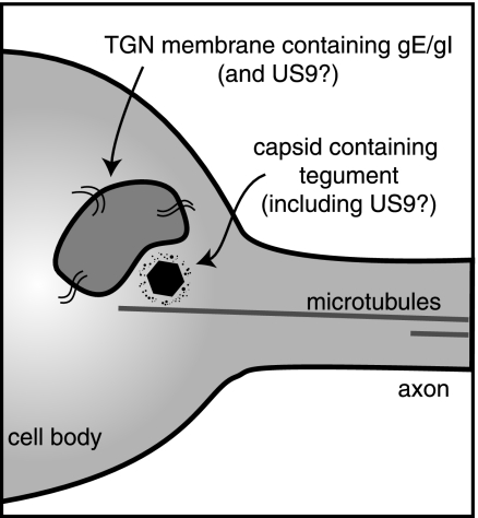 FIG. 10.