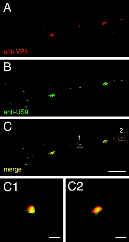 FIG. 8.