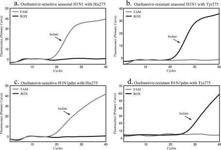 FIG. 2.