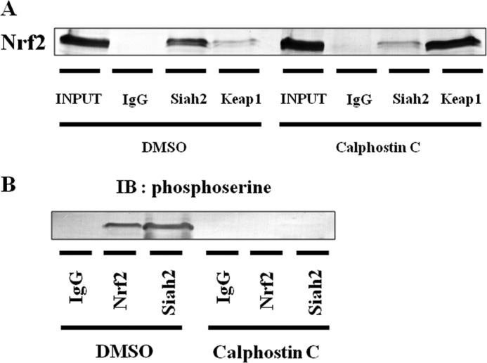 FIGURE 13.