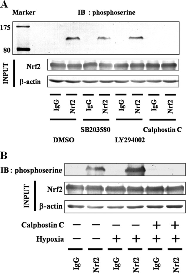 FIGURE 10.