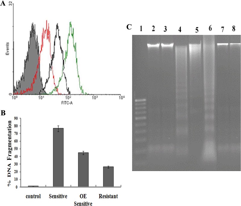 FIG 8