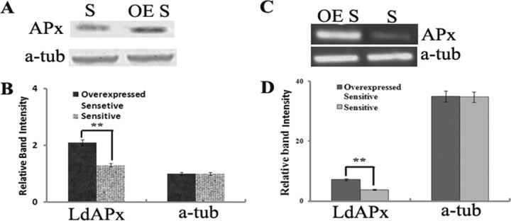 FIG 4