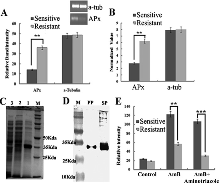 FIG 2