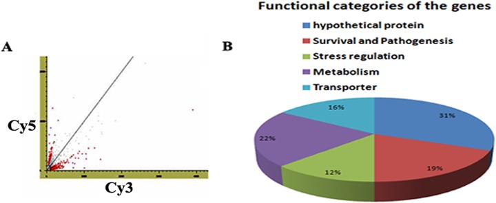 FIG 1