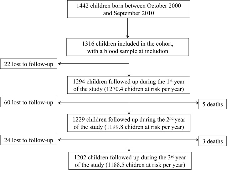 Fig 2