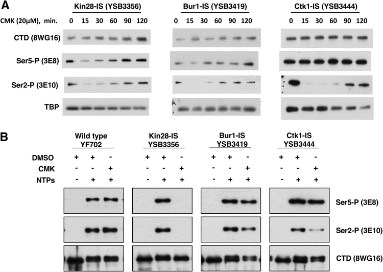 FIG 3