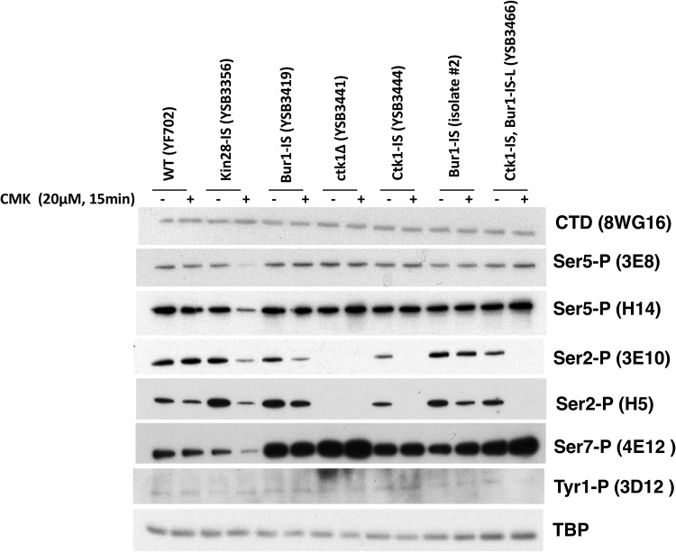 FIG 4