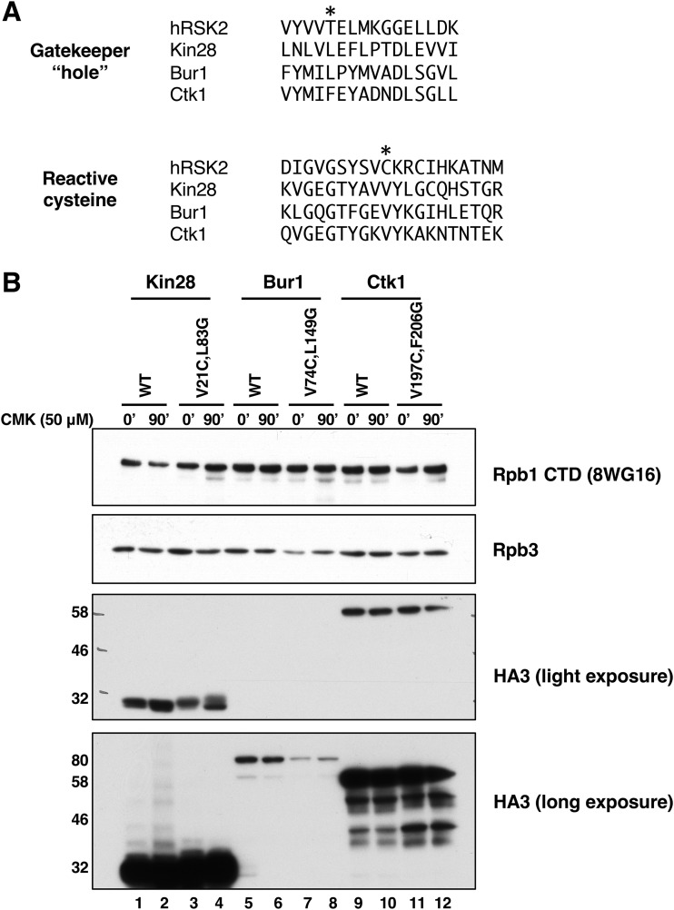 FIG 1