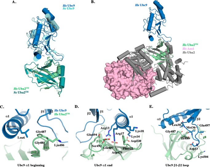 FIGURE 2.