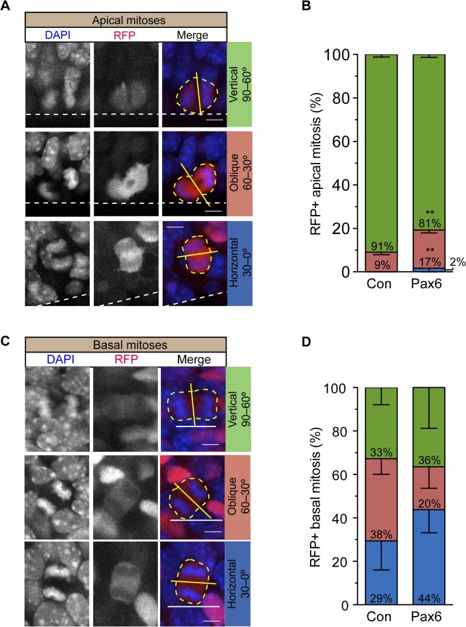 Fig 8