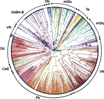 Fig. 3