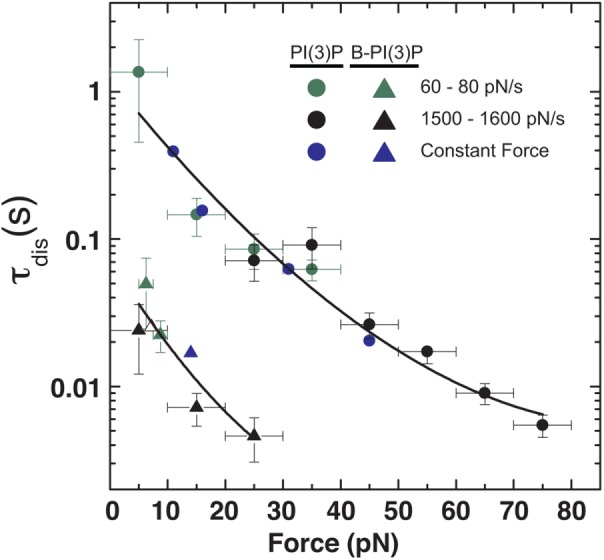 FIGURE 5: