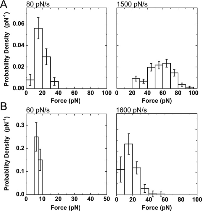 FIGURE 3: