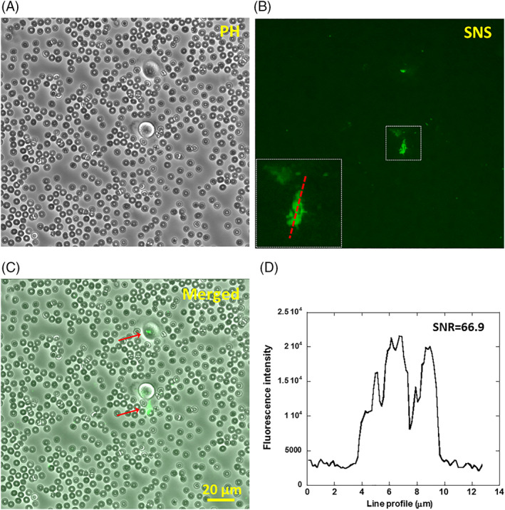 Figure 6