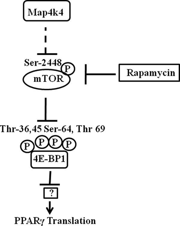 FIGURE 9.