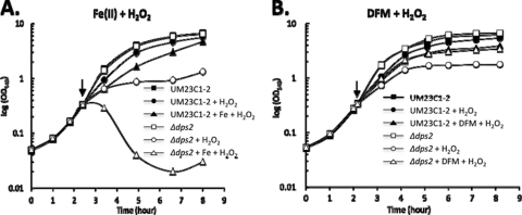 Fig 2