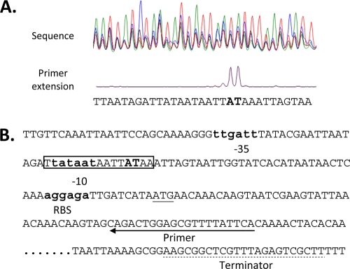 Fig 6