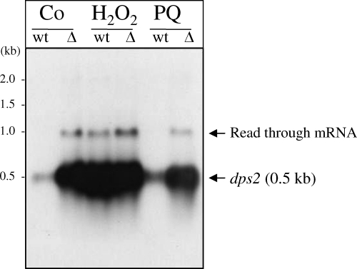 Fig 5