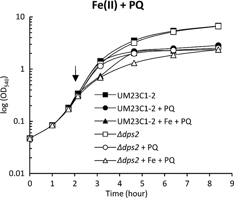 Fig 3