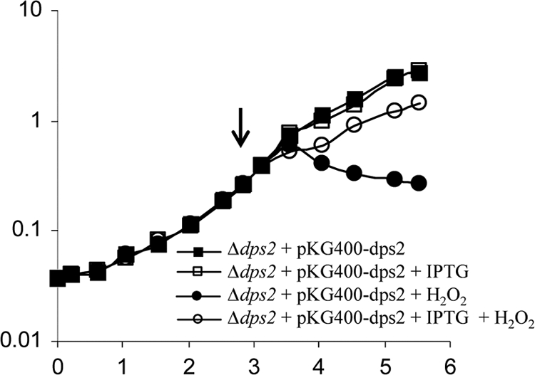 Fig 4