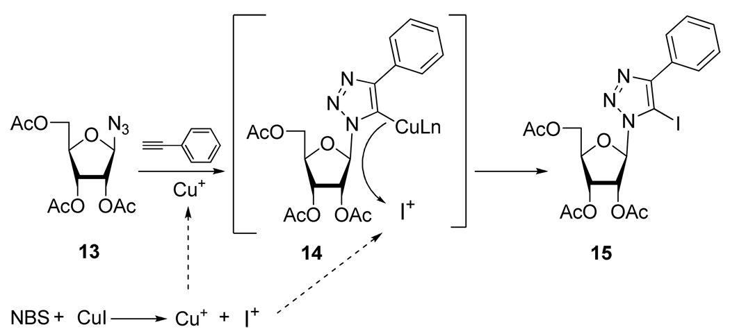 Scheme 9