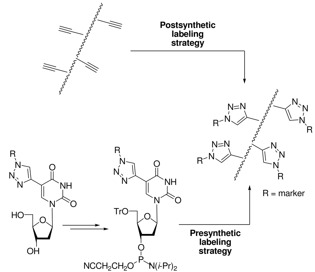 Scheme 25