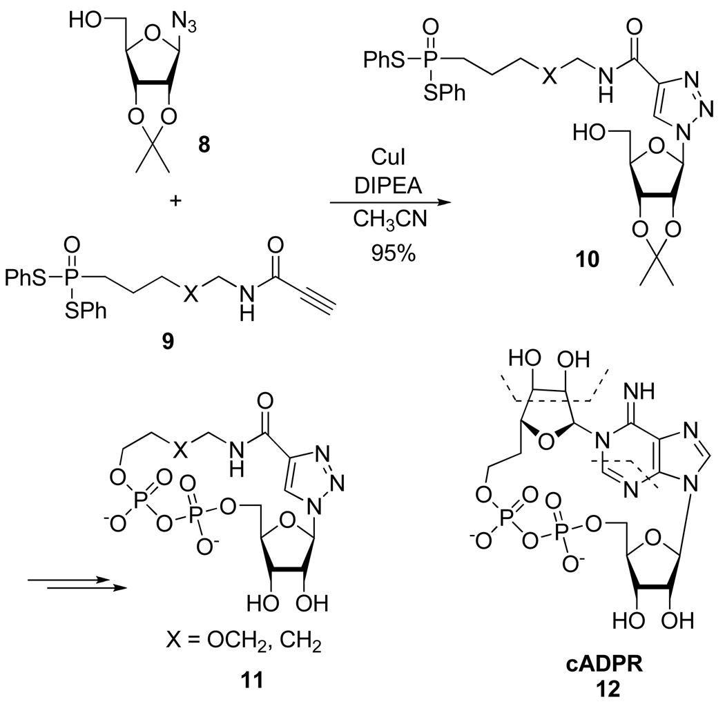 Scheme 8