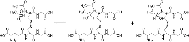 SCHEME 2.