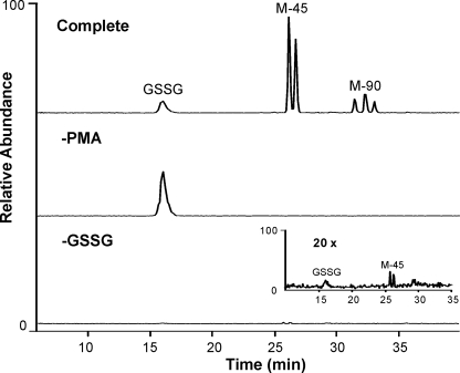 FIGURE 7.