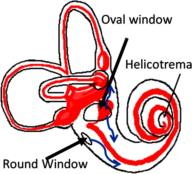 Fig. 3