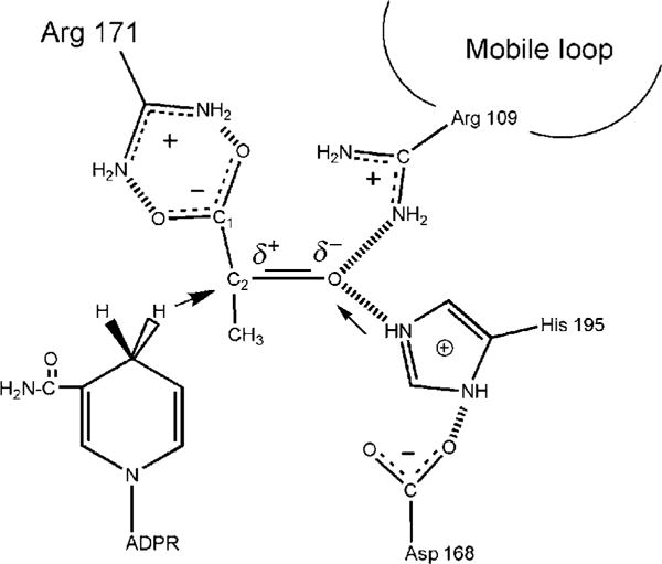 Figure 5.1