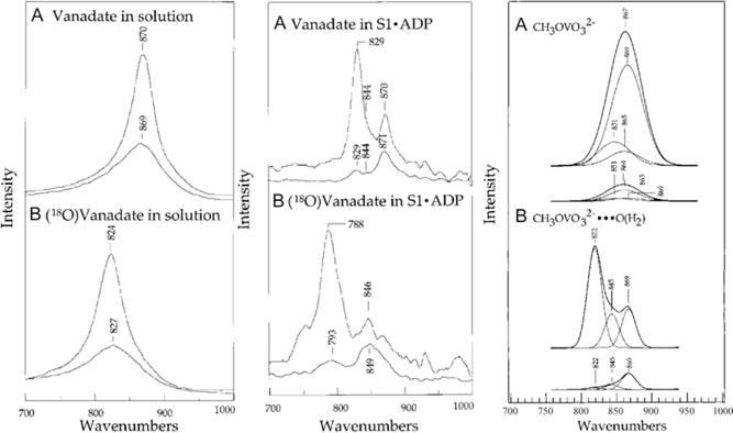 Figure 5.5