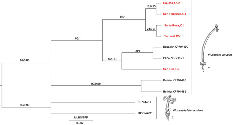 FIGURE 3