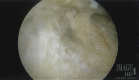 Fig 9