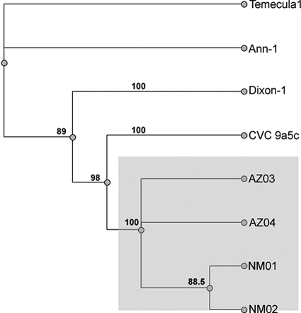 FIG. 3.