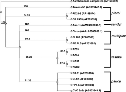 FIG. 2.