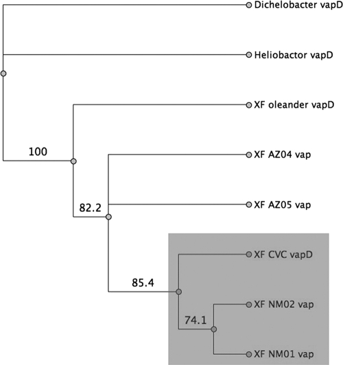 FIG. 4.