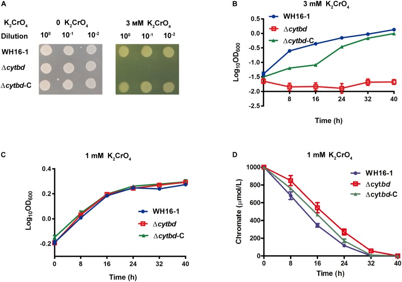 FIGURE 3