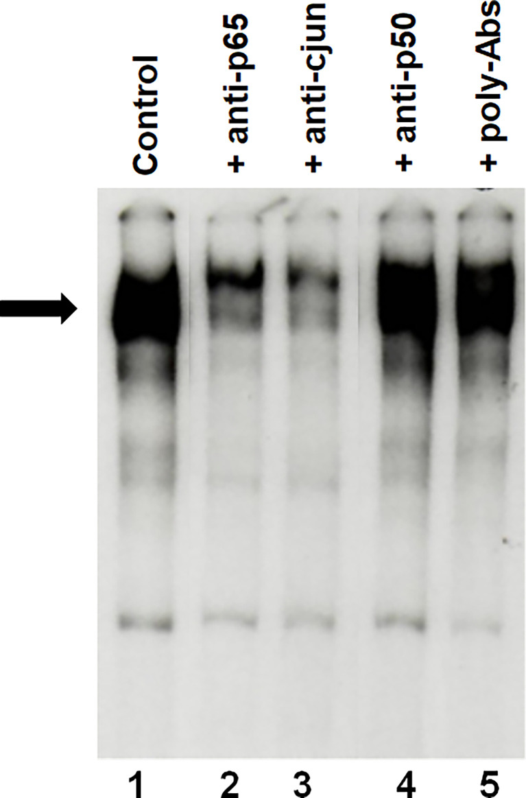 Figure 4