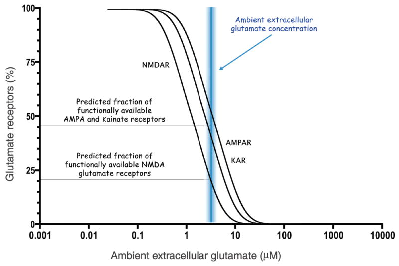 Regulation Of Synaptic Transmission By Ambient Extracellular Glutamate PMC