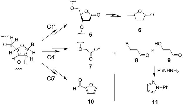 Scheme 2