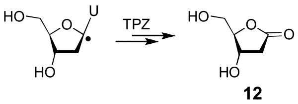 Scheme 3