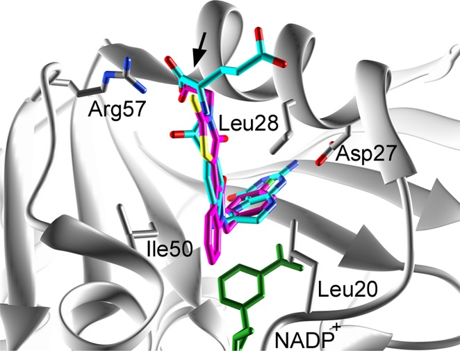 Figure 10