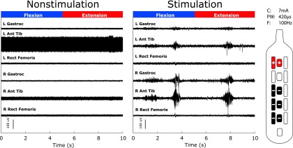 FIG. 2.