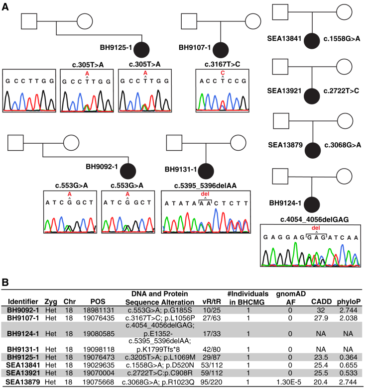 Figure 2