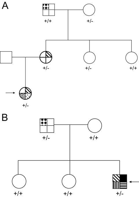 FIG. 3.