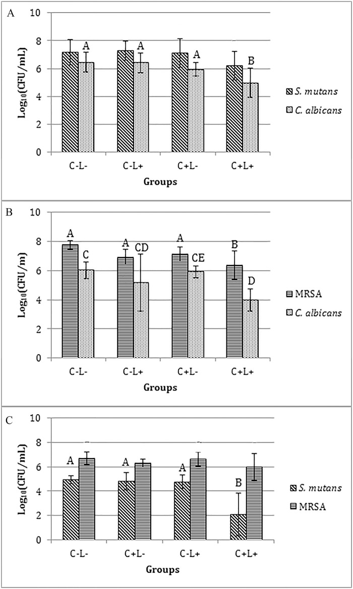 Fig 10