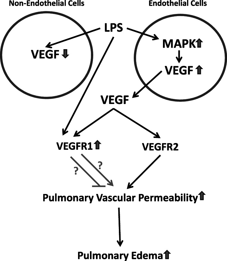 Fig. 5